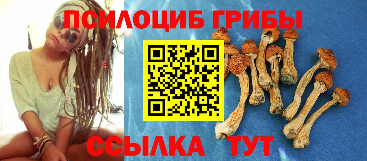 Псилоцибиновые грибы Magic Shrooms Вятские Поляны