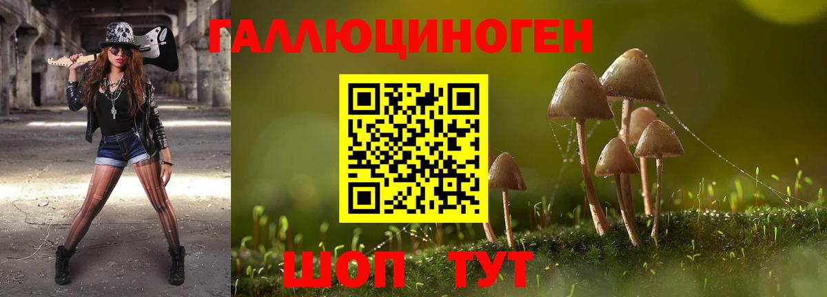 Псилоцибиновые грибы Psilocybine cubensis  Вход с VPN  Галлюциногенные грибы Cubensis  Вятские Поляны 